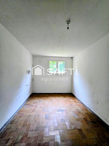 photo no. 9