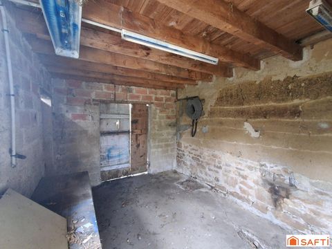 photo no. 8