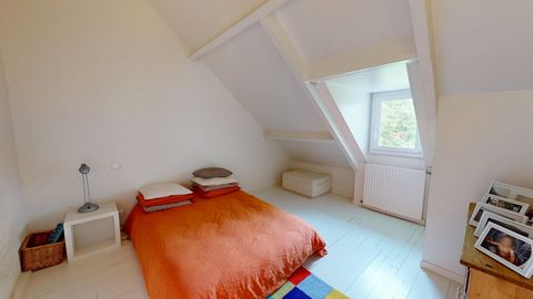 photo no. 16