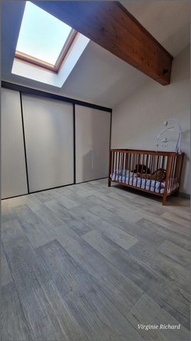 photo no. 10