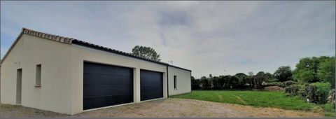 photo no. 13