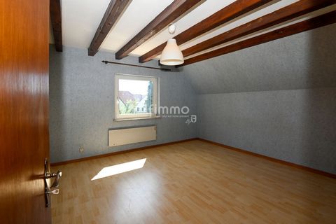 photo no. 19