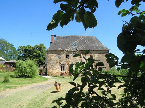 photo no. 26