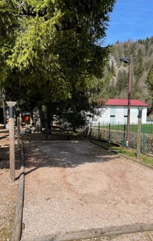 photo no. 6