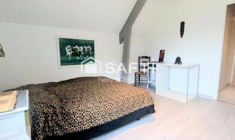photo no. 13