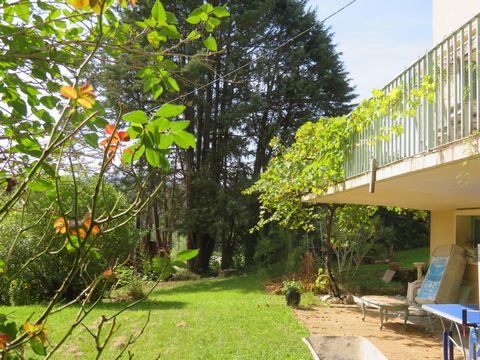 photo no. 10