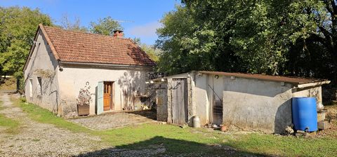 photo no. 2