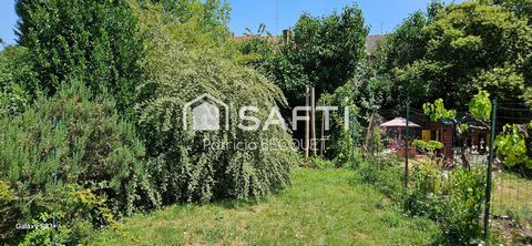 photo no. 10
