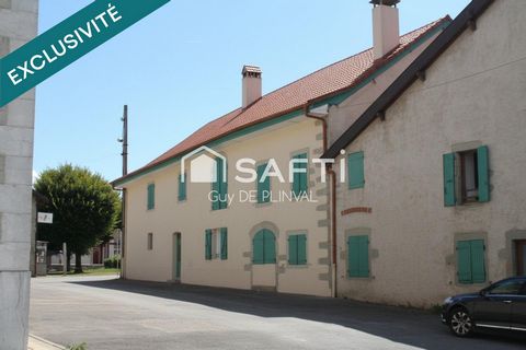photo no. 6