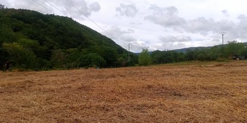 photo no. 4
