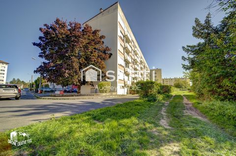 photo no. 10
