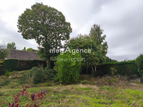 photo no. 13