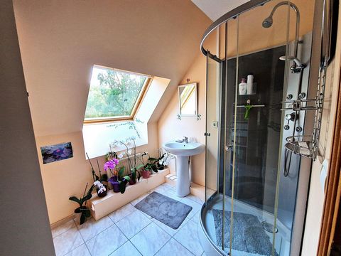 photo no. 11