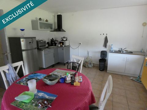 photo no. 11