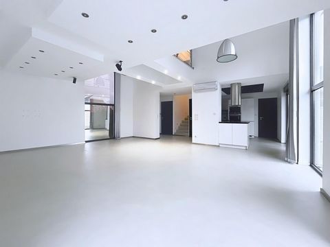 photo no. 1