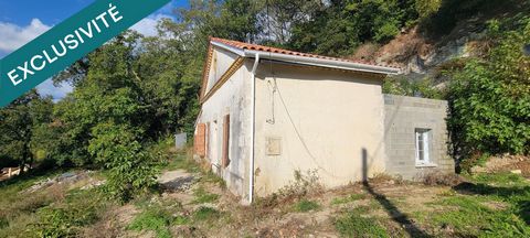 photo no. 2