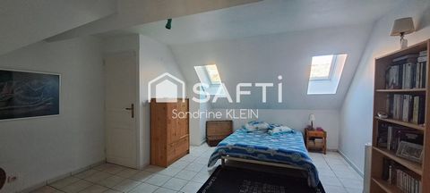 photo no. 13