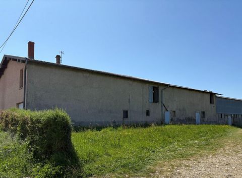 photo no. 4