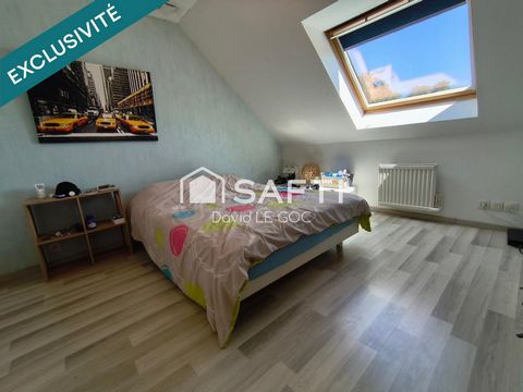 photo no. 13