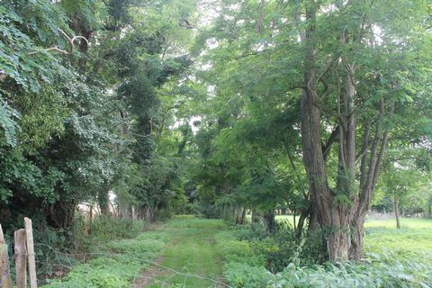 photo no. 13