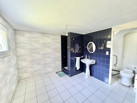 photo no. 10