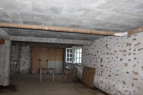 photo no. 7