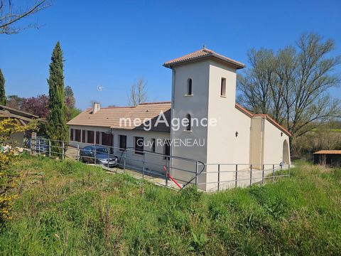 photo no. 13