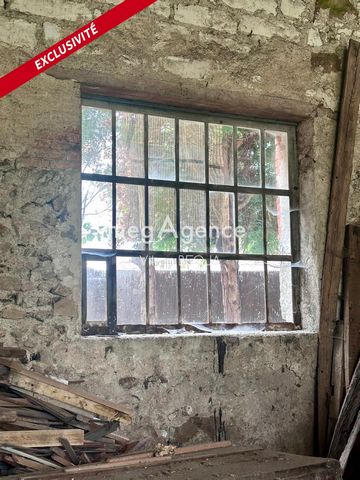 photo no. 11