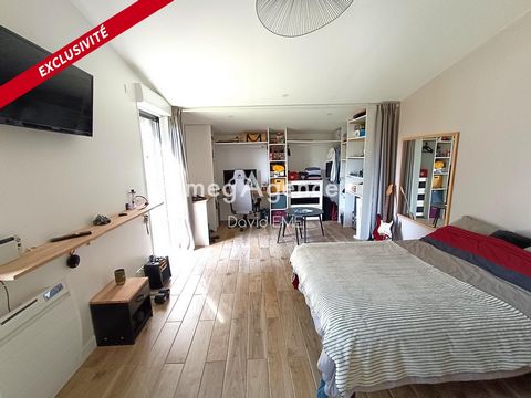 photo no. 10