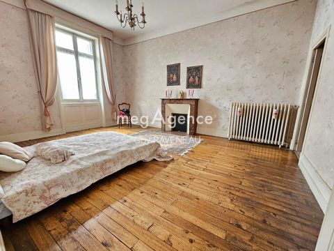 photo no. 6