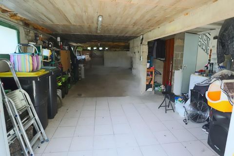 photo no. 16