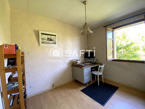 photo no. 11