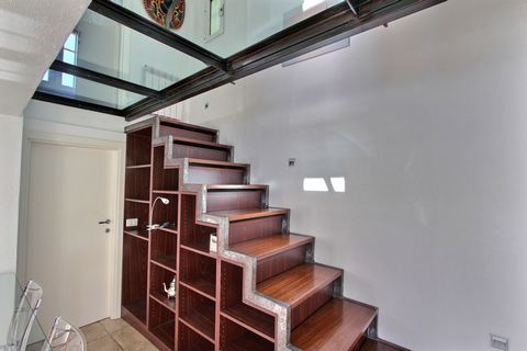 photo no. 7