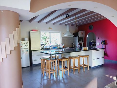 photo no. 6