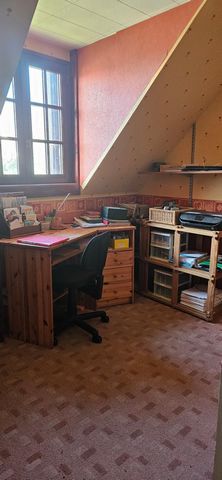 photo no. 13