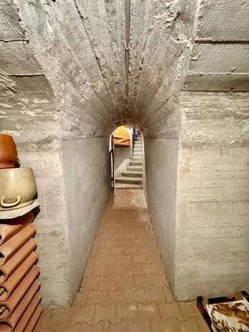 photo no. 18