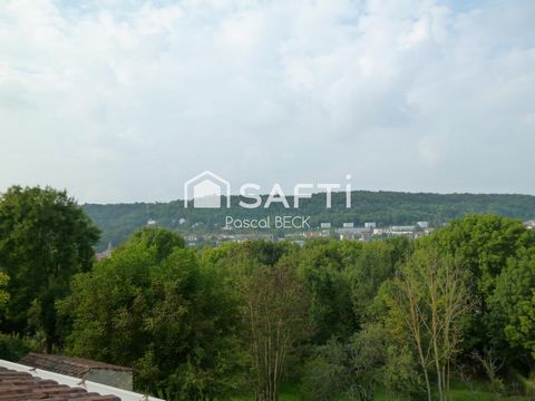 photo no. 8