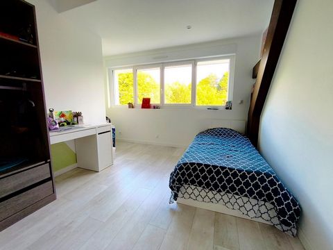 photo no. 14