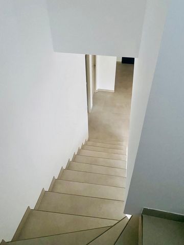 photo no. 5