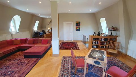 photo no. 11