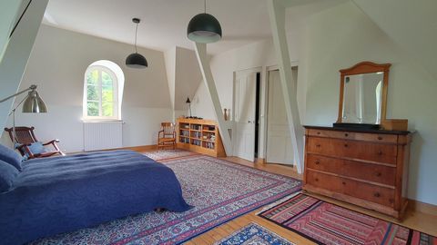 photo no. 12
