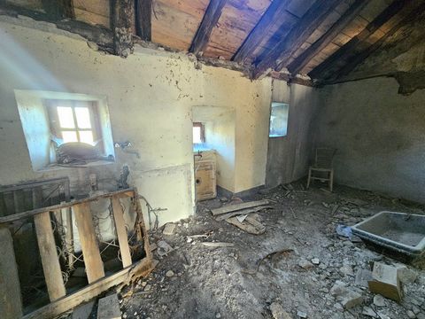 photo no. 11