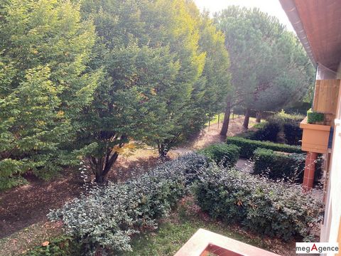 photo no. 9