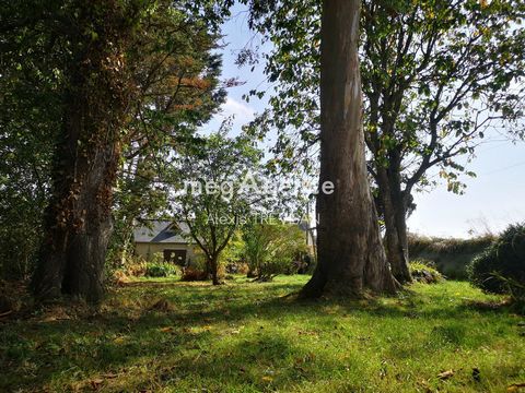 photo no. 4