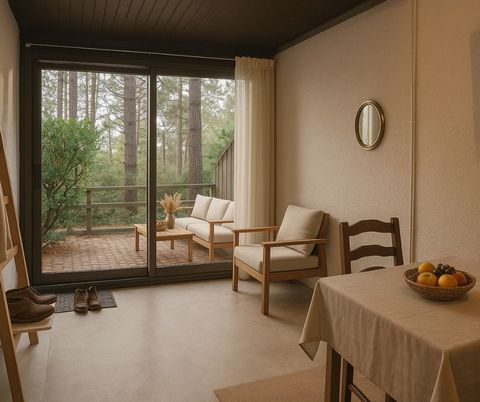 photo no. 8