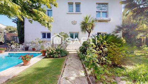photo no. 11