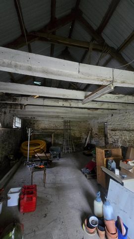 photo no. 15