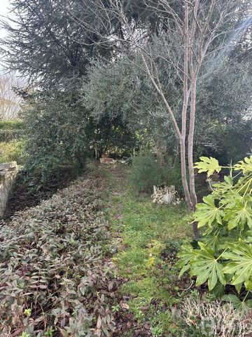 photo no. 12