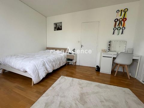 photo no. 11