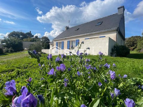 Maison 130 m2 4 chambres 3390 m2 terrain à Pluherlin